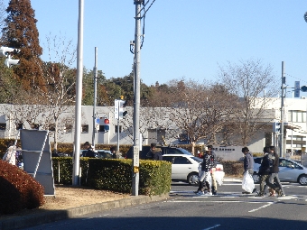 DSC08309.JPG